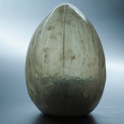 MARCO BAROTTI: THE EGG