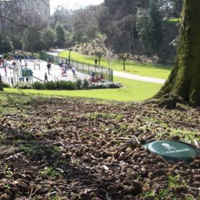 RADICAL ART INTERVENTION AGAINST LANDMINES