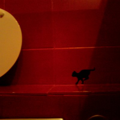 whos that cat?